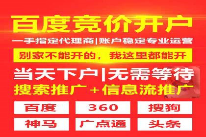 托管竞价sem案例分享：某电商平台的成功之路